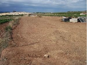 Pinoso&nbsp;property:&nbsp;Land&nbsp;with&nbsp;bedroom&nbsp;in&nbsp;Pinoso,&nbsp;Spain&nbsp;42391