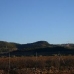 Pinoso&nbsp;property:&nbsp;Beautiful&nbsp;Land&nbsp;for&nbsp;sale&nbsp;in&nbsp;Alicante&nbsp;42391