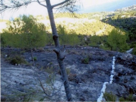 Land with bedroom in town 48017