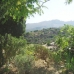 Beautiful Finca for sale in town 48019
