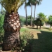 Benitachell property: 5 bedroom Villa in Benitachell, Spain 48253