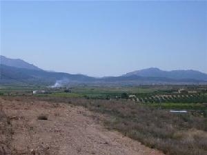 Pinoso property: Land with bedroom in Pinoso, Spain 48938