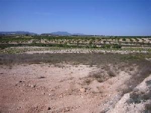 Pinoso property: Land for sale in Pinoso, Alicante 48938