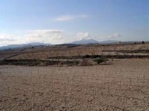 Pinoso property: Land in Alicante for sale 48938