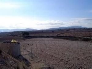 Pinoso property: Pinoso, Spain | Land for sale 48938