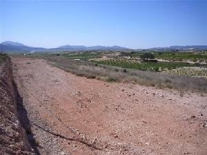 Pinoso property: Alicante Land 48938