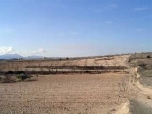 Pinoso property: Pinoso Land 48938