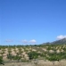 Pinoso property: Pinoso, Spain Land 48938