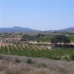 Pinoso property: bedroom Land in Pinoso, Spain 48938