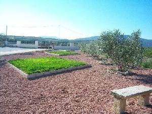 Pinoso property: Villa in Alicante for sale 48958