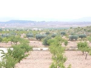 Pinoso property: Villa with 4 bedroom in Pinoso 48961