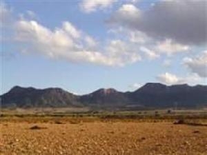 Pinoso property: House with 6 bedroom in Pinoso 48970