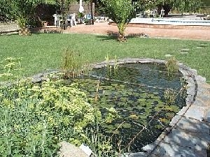 Sax&nbsp;property:&nbsp;Villa&nbsp;for&nbsp;sale&nbsp;in&nbsp;Sax,&nbsp;Spain&nbsp;48973