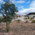 Pinoso property: Villa in Alicante 48975