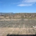 Pinoso property: Beautiful Villa for sale in Pinoso 48977