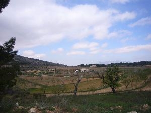 Pinoso property: Land for sale in Pinoso 48984