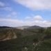 Pinoso property: Pinoso Land, Spain 48984