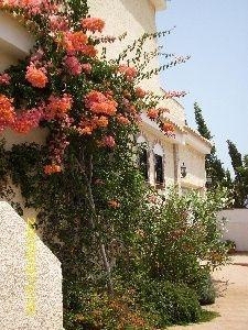Gran Alacant property: Alicante property | 3 bedroom Villa 48987