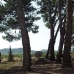 Pinoso property: Pinoso, Spain Townhome 48992