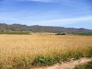 Yecla property: Yecla Villa 48999