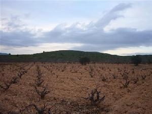 Pinoso property: Alicante property | bedroom Land 49001