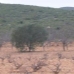 Pinoso property: Alicante, Spain Land 49001