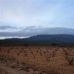 Pinoso property: Land in Pinoso 49001