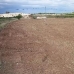 Pinoso property: Land in Pinoso 49018