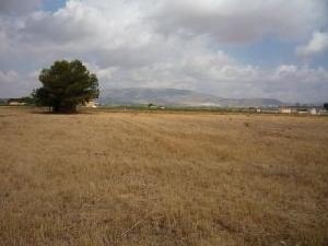 Villena property: Alicante Villa 49034