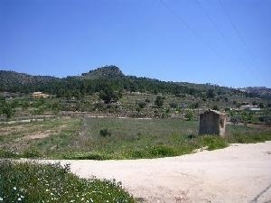 Pinoso property: House with 3 bedroom in Pinoso, Spain 49036