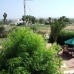 Elche property: Elche Villa, Spain 49040