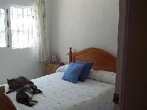 Sax property: Sax, Spain | Villa for sale 49045