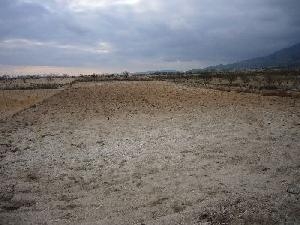 Jumilla property: Villa with 2 bedroom in Jumilla 49052