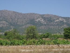 Pinoso property: House with 6 bedroom in Pinoso, Spain 49060