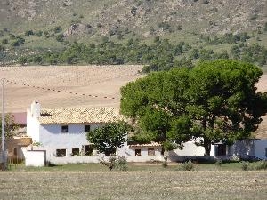 Yecla property: House for sale in Yecla 49066