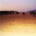 Pinoso property: bedroom Land in Pinoso, Spain 49073