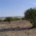 Yecla property: Land for sale in Yecla 49082