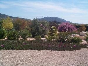 Salinas property: Alicante Villa 49090