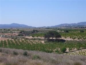 Pinoso property: Land with bedroom in Pinoso 49114