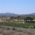Pinoso property: bedroom Land in Pinoso, Spain 49114