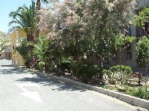 Hondon de las Nieves property: Alicante property | 3 bedroom Apartment 49126