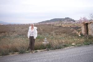 Pinoso property: Land with bedroom in Pinoso 49133