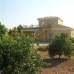 Crevillent property: Crevillent, Spain Villa 49153