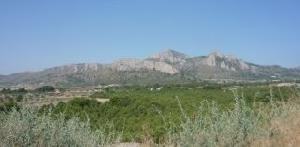 Hondon de las Nieves property: Villa for sale in Hondon de las Nieves, Spain 49174