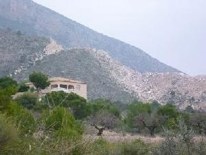 Villa with 3 bedroom in town 49182