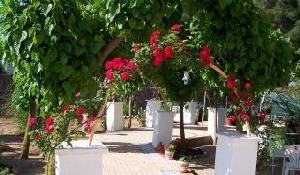Beneixama property: Villa for sale in Beneixama, Alicante 49203