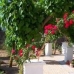 Beneixama property: Villa in Alicante 49203