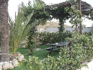 Hondon de las Nieves property: House for sale in Hondon de las Nieves, Alicante 49212