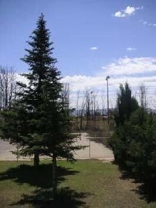Yecla property: House in Murcia for sale 49222