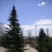 Yecla property: House in Yecla 49222